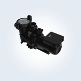 Jandy VS FloPro™ Pool Pump 1.65HP 115/230V without Controller