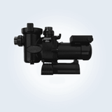 Jandy VS FloPro™ Pool Pump 1.65HP 115/230V without Controller